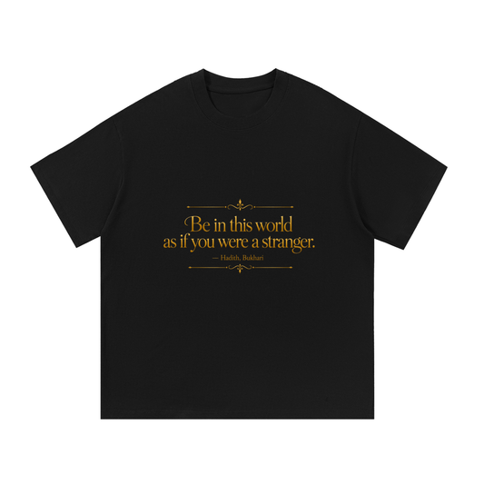 Be In This World As A Stranger — Black Tee